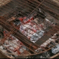 Assando marshmallows