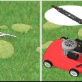 Remova o musgo do seu gramado