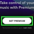 Baixar música no spotify