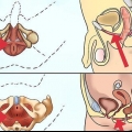 Faça exercícios para os músculos do assoalho pélvico
