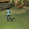 Escapando de um ataque de abelhas africanizadas