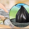 Livre-se dos percevejos naturalmente