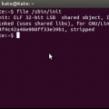 Instalando o oracle java jdk no ubuntu linux
