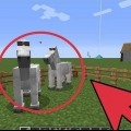 Criando cavalos no minecraft