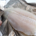 Prepare o filé de pangasius