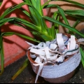 Papel reciclável
