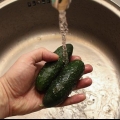 Armazenar fatias de pepino