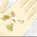 Cultivando plantas a partir de sementes