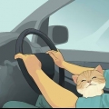 Viajar com um gato