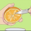 Germinando sementes de laranja