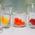 Fazendo skittles vodka