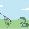 Pegando cobras