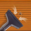 Remova aranhas se você tem fobia de aranha