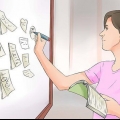 Criar guias de estudo