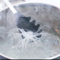 Fazendo sukiyaki