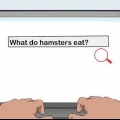 Obtendo permissão de seus pais para manter um hamster