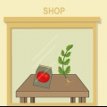 Cultivo de tomates em vasos