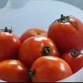Conservas de tomate