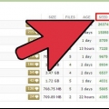 Usando torrents