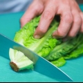 Fazendo salada de jardim