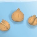 Plantando bulbos de tulipas