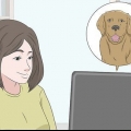 Comprar um cachorro com segurança online
