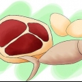 Queime gordura e ganhe massa muscular