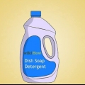 Mate pulgas com detergente dawn
