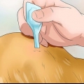 Mantenha as pulgas longe dos cães