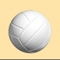 Jogando vôlei