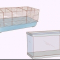Cuidando de hamsters anões
