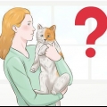 Cuidando do seu animal de estimação