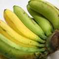 Evitando que as bananas amadureçam muito rapidamente