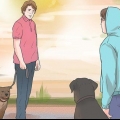 Impedir que um cão ladre para outros cães