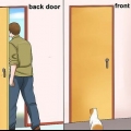 Impedindo que um gato saia correndo pela porta