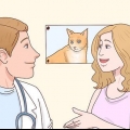 Evite que seu gato faça xixi na sua cama