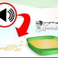 Impedindo que seu gato urine em lugares onde não é permitido