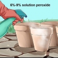 Usando peróxido de hidrogênio no jardim