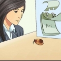 Saber se seu hamster está morrendo