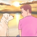 Saiba se seu cão gosta mais de você