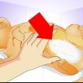 Veja se um gato foi esterilizado