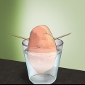 Cultivo de batata doce