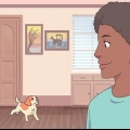 Fazendo um gato e um cachorro se tolerarem