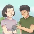 Certificando-se de que seu gato te conhece e te ama
