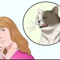 Certifique-se de que seu gato não arranca sozinho