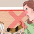 Faça seus dois cachorros pararem de brigar