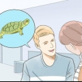 Cuidando de uma tartaruga de orelha vermelha