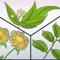 Prevenção de menstruações intensas: pode ser feito naturalmente?