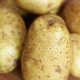 Cozinhar batatas