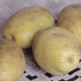 Armazenar batatas